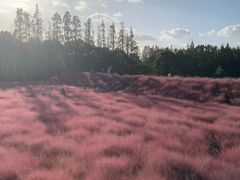 -嘉北郊野公园