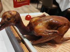 -靓鸽村·老字号食鸽专门店(琶洲店)