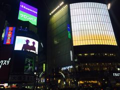 -涩谷区