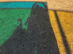 -金泽21世纪美术馆