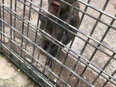 -南京金牛湖风景区