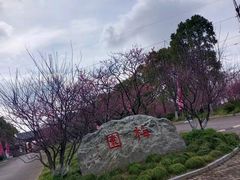 -上海海湾国家森林公园