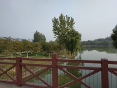 -大兴滨河森林公园