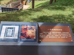 -马王堆汉墓遗址