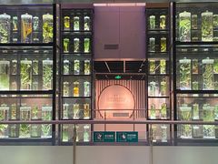-广东中医药博物馆