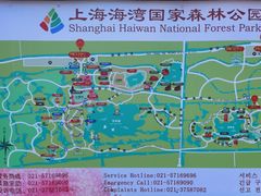 -上海海湾国家森林公园