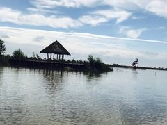 -哈素海
