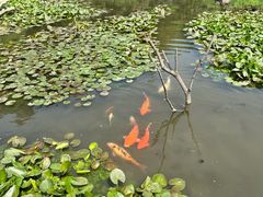 -天目湖山水园