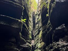 -梭布垭石林景区