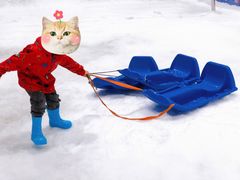 -Mr·Kuma酷么先生雪之乐园