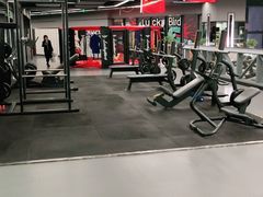 -金吉鸟健身游泳