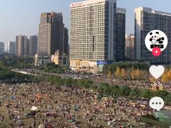 -约翰·菲茨杰拉德·肯尼迪国际机场