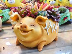 -双季花艺园艺市场(浦东店)