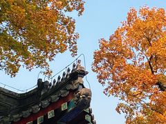 -香山公园