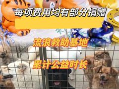 -蓝地时尚庄园(北京清河营地铁站店)