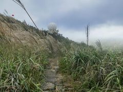 -东白山