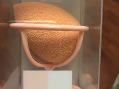 -远洋未来广场(育慧北路店)