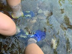 -安吉龙王山峡谷漂流
