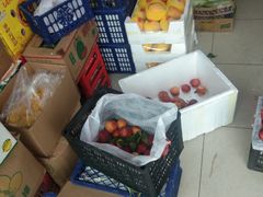 -岳各庄批发市场(西四环中路店)