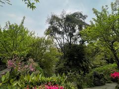-成都杜甫草堂博物馆