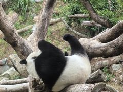 -宁波野生动物园