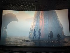 -华谊兄弟影院(IMAX洋桥店)