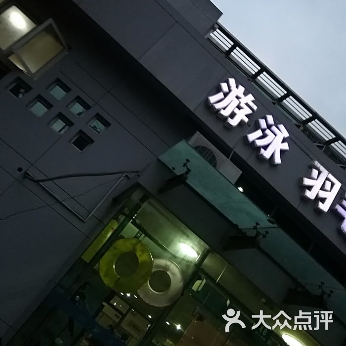 沈坚强游泳俱乐部