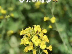 -徐家汇公园