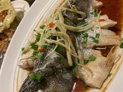 -眉州东坡(中关村店)