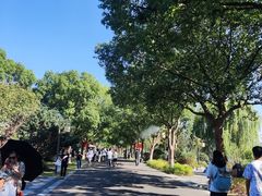 -东钱湖旅游度假区