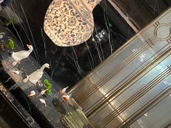 大堂-宏达宴老菜馆(群力第四大道店)