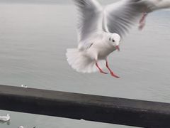-蠡湖大桥公园