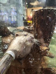 -Zoolung Zoolung动物主题公园(海信广场店)