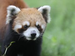 -普洱太阳河森林公园