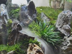 -聚缘堂·海鲜私房菜(松岭路店)