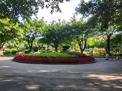 -西南政法大学(沙坪坝校区)