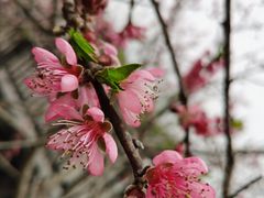 -仙海旅游度假区