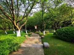 -中国茶叶博物馆(双峰馆区)