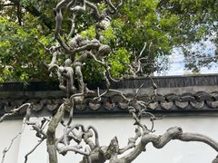 -上海醉白池公园