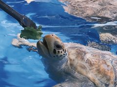 -泉城欧乐堡海洋极地世界