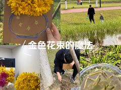 -春花秋色城市公园