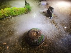 -几荷·恰似故人来(秀水广场店)
