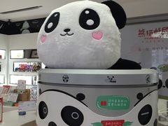 -熊猫邮局(少城店)