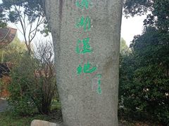 -溱湖国家湿地公园