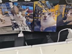 -谜盒子奇幻密室(南屏店)