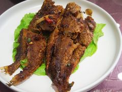 -上海新江南大酒店-中餐厅