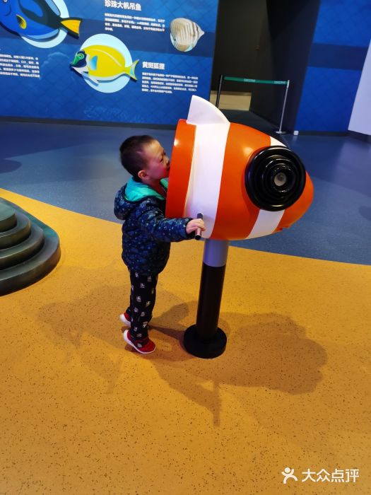 贝林大翅鲸简餐厅(国家海洋博物馆店)图片