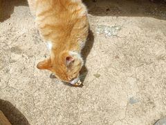 -终南山南五台景区