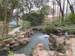 -上海醉白池公园