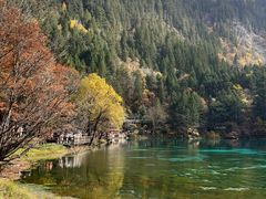 -九寨沟-树正沟